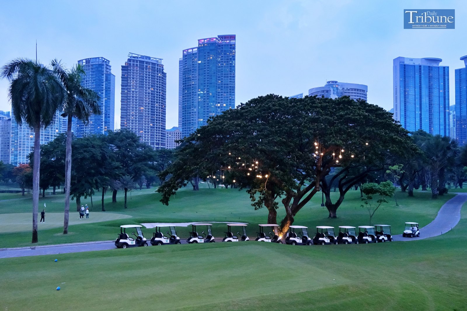 TRIBUNE-GOLF